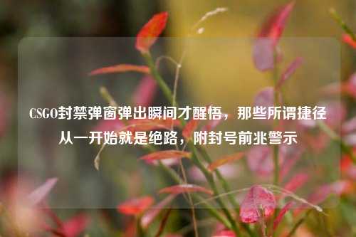 CSGO封禁弹窗弹出瞬间才醒悟,那些所谓捷径从一开始就是绝路,附封号前兆警示