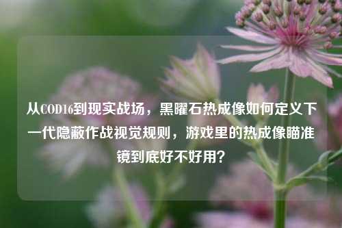 从COD16到现实战场,黑曜石热成像如何定义下一代隐蔽作战视觉规则,游戏里的热成像瞄准镜到底好不好用?