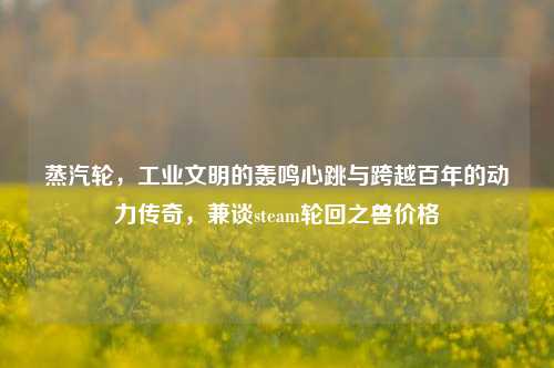 蒸汽轮，工业文明的轰鸣心跳与跨越百年的动力传奇，兼谈steam轮回之兽价格