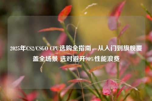2025年CS2/CSGO CPU选购全指南,从入门到旗舰覆盖全场景 选对避开90%性能浪费