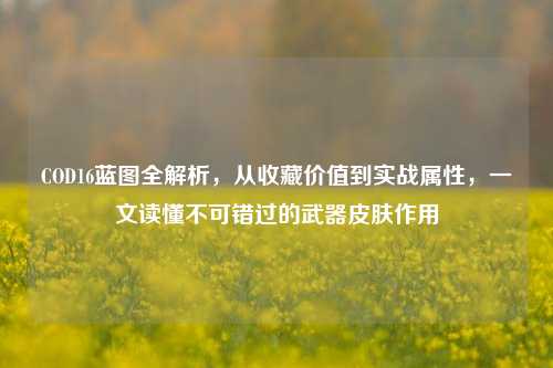 COD16蓝图全解析，从收藏价值到实战属性，一文读懂不可错过的武器皮肤作用