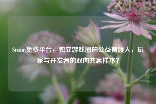 Steam免费平台,独立游戏圈的公益摆渡人,玩家与开发者的双向共赢样本?