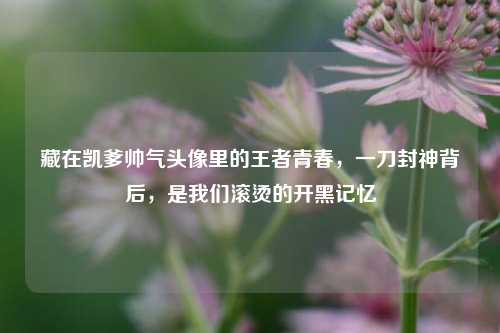 藏在凯爹帅气头像里的王者青春，一刀封神背后，是我们滚烫的开黑记忆