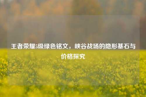 王者荣耀5级绿色铭文，峡谷战场的隐形基石与价格探究