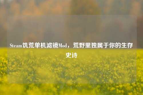 Steam饥荒单机滤镜Mod,荒野里独属于你的生存史诗