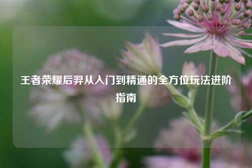 王者荣耀后羿从入门到精通的全方位玩法进阶指南