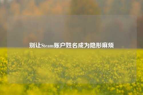 别让Steam账户姓名成为隐形麻烦