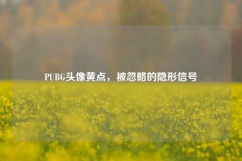 PUBG头像黄点，被忽略的隐形信号